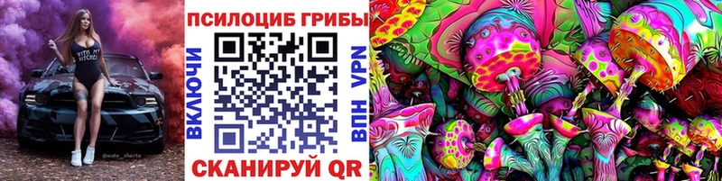 Псилоцибиновые грибы прущие грибы  Хадыженск 